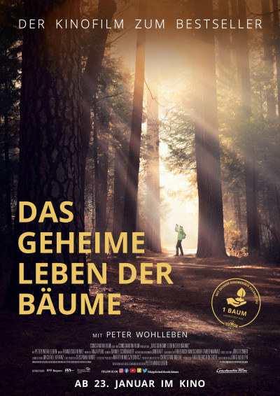 Szene aus Das Geheime Leben der Bäume